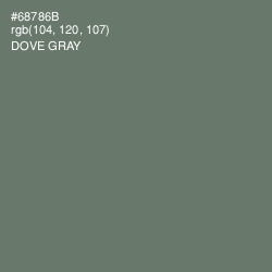 #68786B - Dove Gray Color Image